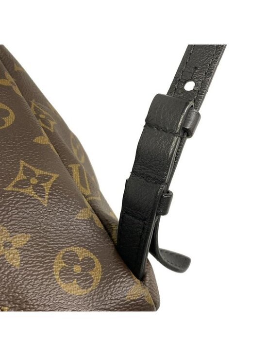 Louis Vuitton Backpack Monogram Reverse Palm Spring PM main image 4